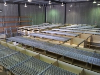 Mezanine Floor, Department of Innovation, Australian Federal Government .